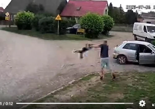 KociArka trafiła do Ognicy: tam, gdzie okrucieństwo nie zna końca