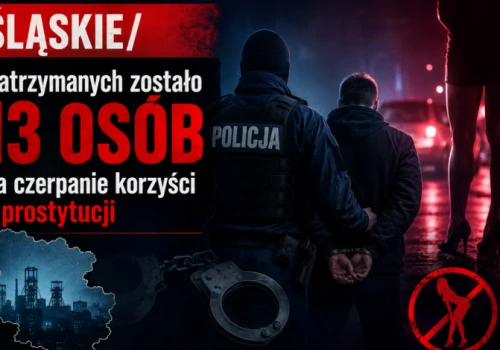 Śląskie/ Zatrzymanych zostało 13 osób za czerpanie korzyści z prostytucji