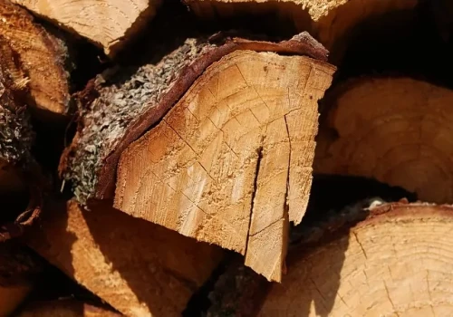 To drewno dobrze sprawdza się na wsi. W mieście może narobić problemów