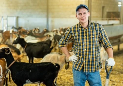 To może być przełom dla młodych rolników. Zmiany po 2027 roku nabierają kształtów