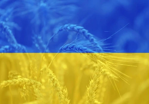 Kijów twierdzi, że skala ukraińskiego rolnictwa jest przeceniana w Unii Europejskiej