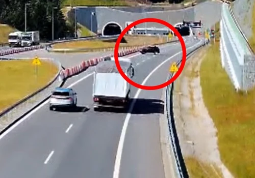 Kierowca zawrócił na S1 przed tunelem. Omal nie doprowadził do tragedii
