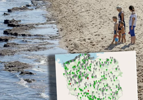 Z powodu sinic zamykają kąpieliska. Mapa GIS pokazuje aktualną sytuację nad wodą