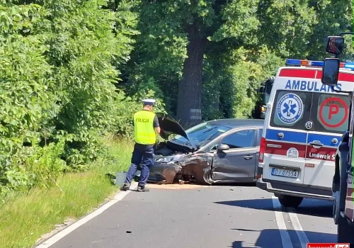 Wypadek na drodze wojewódzkiej. eCall wysłał zgłoszenie