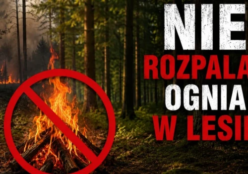 Zagrożenie pożarowe w lasach. Służby i urzędnicy apelują o rozsądek