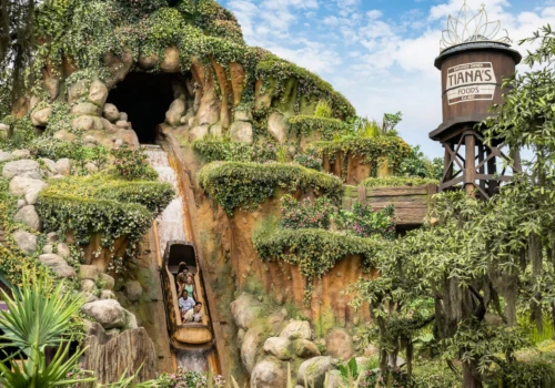 Szokujące nagranie pokazuje 13-letniego chłopca spadającego z wodospadu podczas atrakcji Disneyland