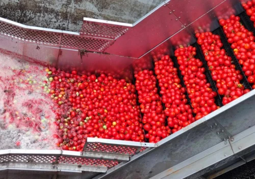 Kampol-Fruit na sprzedaż za 55 mln zł. Syndyk szuka kupca dla zakładu w Rykach