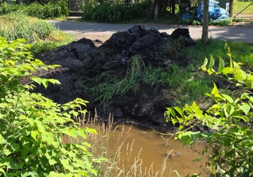 Brzegi rzeki Kozi Bród zostaną posprzątane. Wody Polskie uspokajają