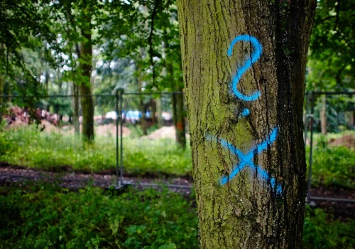Widzisz takie znaki na drzewach w lesie? Lepiej zawróć, bo kara może sięgnąć nawet 5 tys. zł