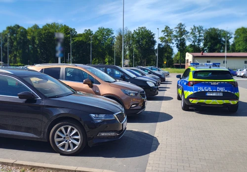 Rozgrzane auto niczym śmiertelna pułapka. Świdniccy policjanci apelują