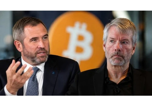 Garlinghouse krytykuje strategię Michaela Saylora