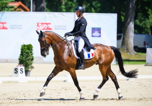 Francuzi na prowadzeniu w Pucharze Narodów LOTTO Strzegom Horse Trials. Sukces Pawła Warszawskiego w Strzegomiu
