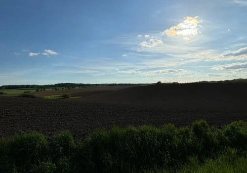 Tragedia podczas prac polowych w Belgii. Nie żyje 50-letni Polak