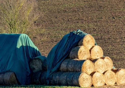 Nawet 90°C w środku beli. Tak zaczyna się pożar stogu.