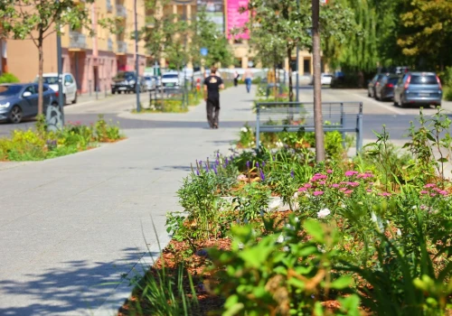 Łódź. Miasto przypomina o zielonych zakątkach w centrum (zdjęcia)