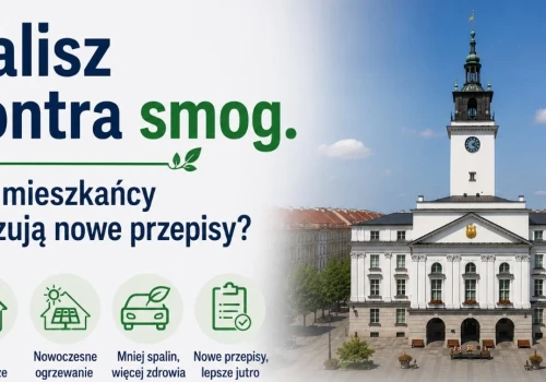 Kalisz kontra smog. Czy mieszkańcy odczują nowe przepisy?