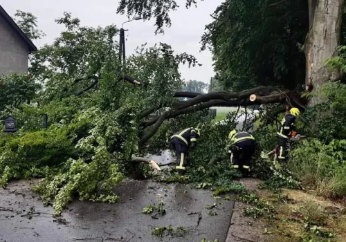 Nawałnica w Łódzkiem. Połamane drzewa i słupy blokują przejazd DK74