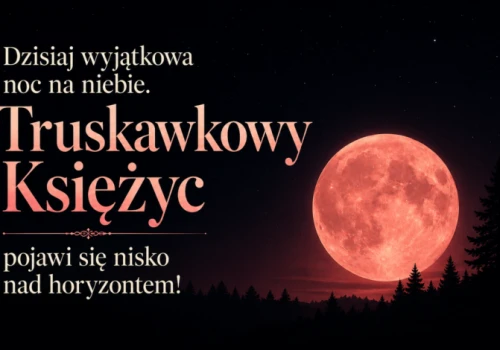 Dzisiaj bajkowa noc na niebie. Truskawkowy Księżyc pojawi się nisko nad horyzontem!