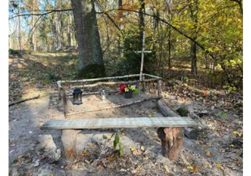 Łódź: W tym parku możesz się wystraszyć. Pod liśćmi drzew kryją się groby. Przechodzą dreszcze, pojawia się gęsia skórka. ZDJĘCIA