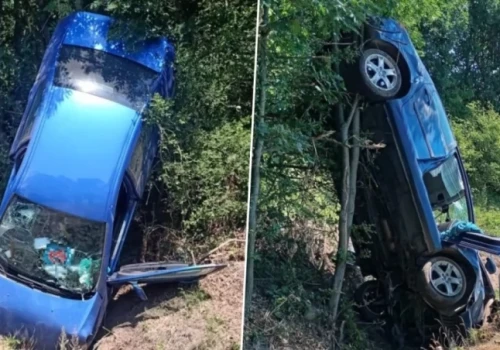 Pijany 79-latek wypadł z drogi. Auto zatrzymało się na drzewie. Pionowo!