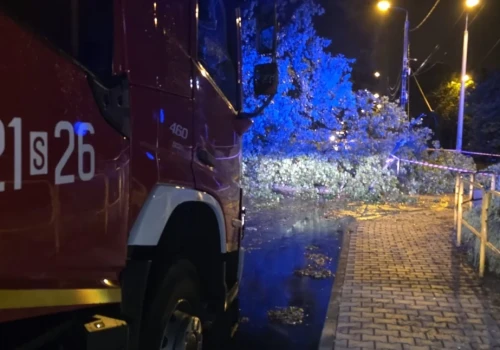 Bilans nawałnicy w Mysłowicach: ponad 36 interwencji, połamane drzewa, zerwane linie energetyczne