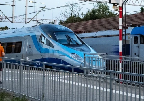 W pociągu z Warszawy zmarł pies. PKP Intercity składa jego właścicielowi wyrazy współczucia i mówi o wyjątkowym przypadku