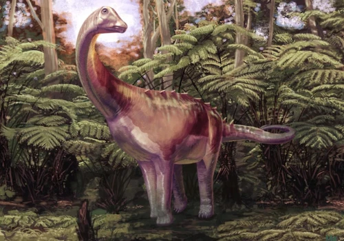 Pierwsza kość dinozaura z Antarktydy była przez 40 lat błędnie opisana