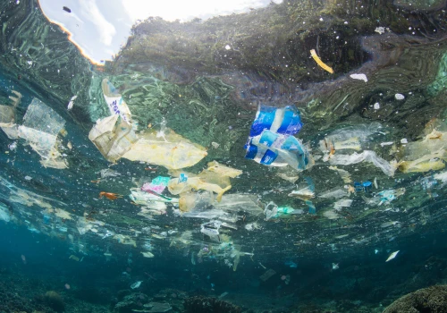 Mniej wyrzucanych nakrętek to mniej plastiku w morzu. Badanie w Szwecji pokazuje rezultaty