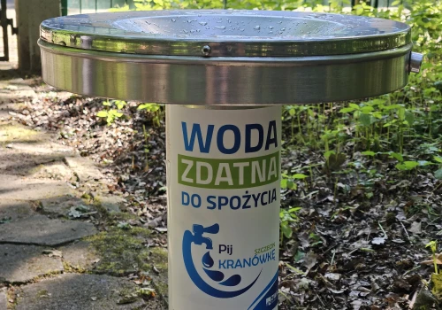 Lipiec bez plastiku. W Szczecinie jeden prosty wybór może zrobić ogromną różnicę