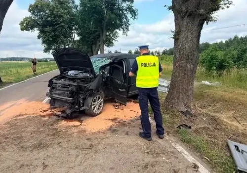 Wypadek na DW 542. Samochód osobowy uderzył w drzewo