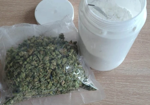 Blisko pół kilograma narkotyków. Pyrzyccy kryminalni dostali duże wsparcie od Wenty