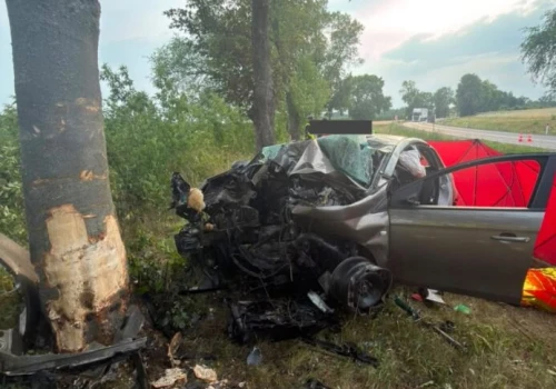 Śmiertelny wypadek na łuku drogi. Fiat uderzył w drzewo. Nie żyje kierująca