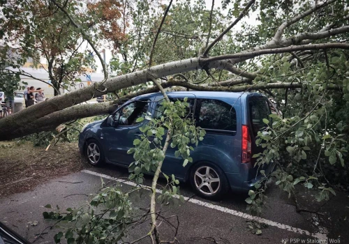 Niszczycielskie burze nad Podkarpaciem. Wiatr zrywa dachy, łamie drzewa