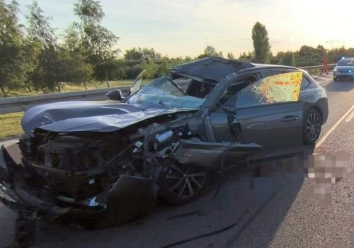 Myśliwi apelują do kierowców: Zdejmij nogę z gazu. Chwila nieuwagi może skończyć się tragedią