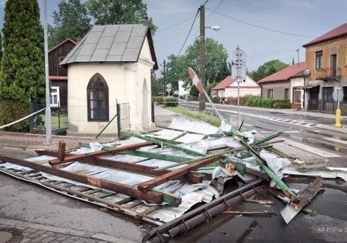 Połamane drzewa, uszkodzone dachy i 64 interwencje. Straż pożarna podsumowuje skutki burz