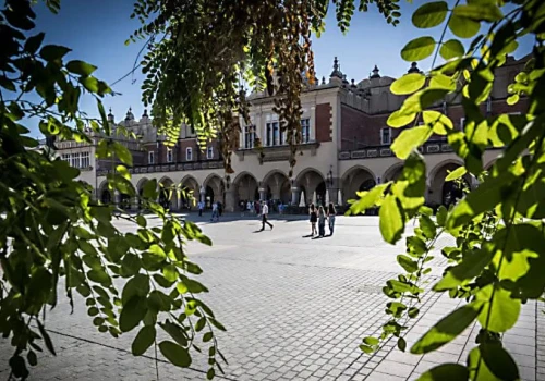„Zielono mi” na Rynku Głównym w Krakowie
