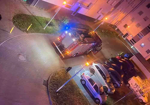 Zielona Góra. Atak psów na klatce schodowej, pogryzionych chłopak trafił do szpitala