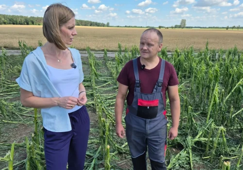 Grad wielkości kurzego jaja zmiótł prawie 200 ha w jednej wsi