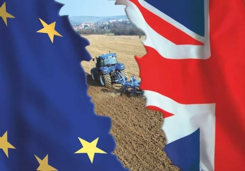 Brexit nadal utrudnia eksport żywności. Nadchodzą zmiany ważne dla polskich producentów