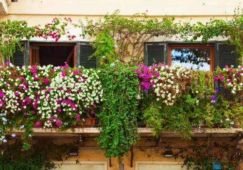 Zwisające kwiaty na balkon. Oto 5 roślin, które tworzą najpiękniejsze kwitnące kaskady