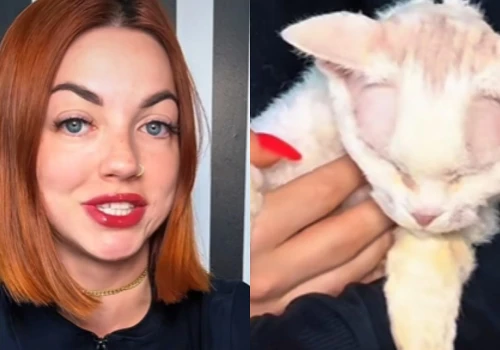 Mieszka w USA od lat. Do weterynarza woli polecieć z kotem do Polski. 