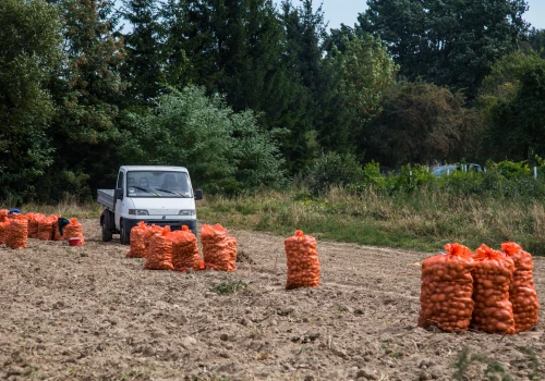 Rolniczy handel detaliczny. Co można sprzedać z gospodarstwa i gdzie to zgłosić?