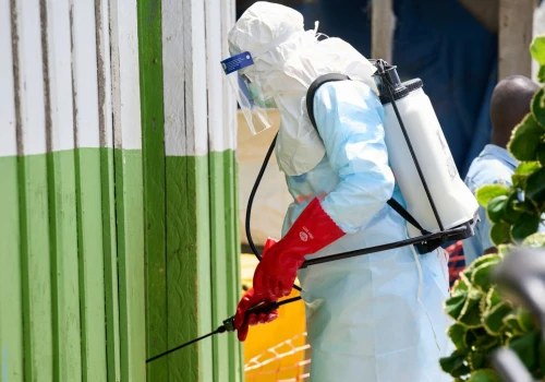 Rusza pierwsze takie badanie. Sprawdzą leki na Ebolę Bundibugyo