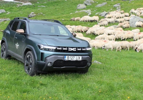 Dacia stworzyła samochód marzeń Polaka. Prawie zjadły mi go owce