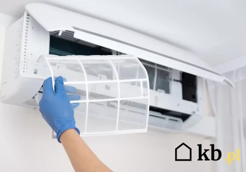 Kupują klimatyzator 2w1 i są przekonani, że zastąpi oczyszczacz. Rzeczywistość wygląda trochę inaczej
