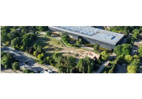 Oko w oko z olbrzymami. ZOO Wrocław zapowiada nową Żyrafiarnię!