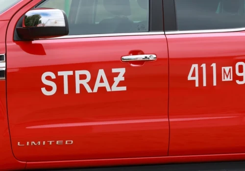 Nietypowa strażacka interwencja w Ciechanowie