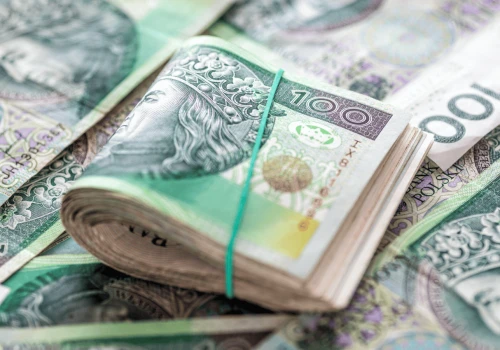 Nawet 8 tys. zł dla właścicieli tych nieruchomości. Rusza nabór do programu. Z wnioskiem trzeba się spieszyć