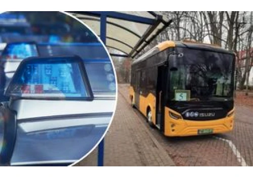 Wsiadła do autobusu z chihuahua. Skończyła w izbie zatrzymań