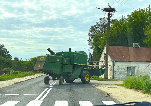 Żniwa kontra przepisy. Dlaczego rolnicy wciąż ryzykują przejazd z hederem?